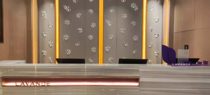 麗枫酒店(广州亚运城石碁地铁站店)图片