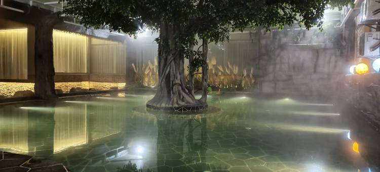 安顺•悦漫致丨CINEMAMTHSCENERYVACAY温泉酒店(平坝南站区政府店)图片