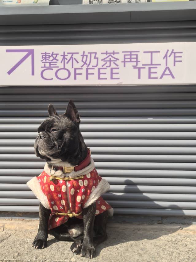 云山客栈(大理古城南门店)图片