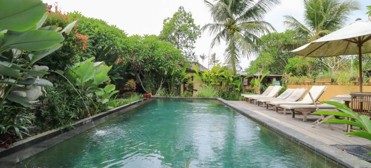 巴厘岛阳光巴厘酒店(Bali Sunshine Ubud)图片
