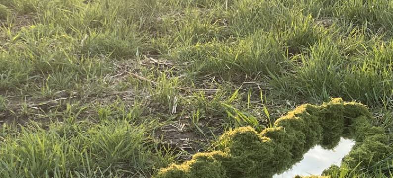 原舍小院民宿图片