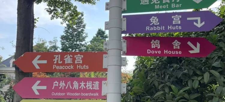 青岛鑫江温德姆酒店图片