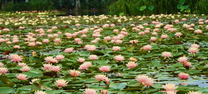 玉溪映月潭温泉酒店图片