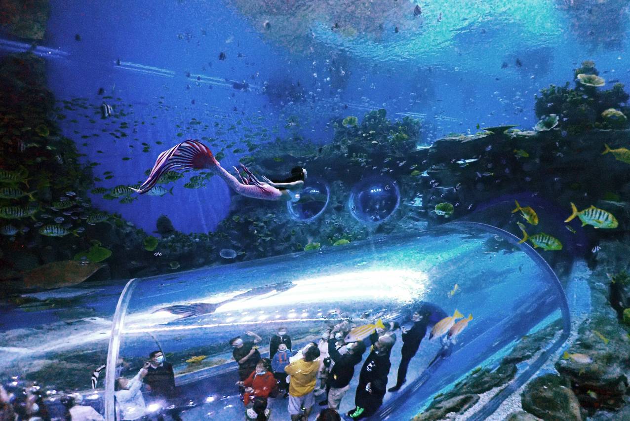 海南富力海洋欢乐世界度假区凯悦酒店图片