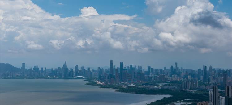 维也纳酒店(福田会展中心店)图片