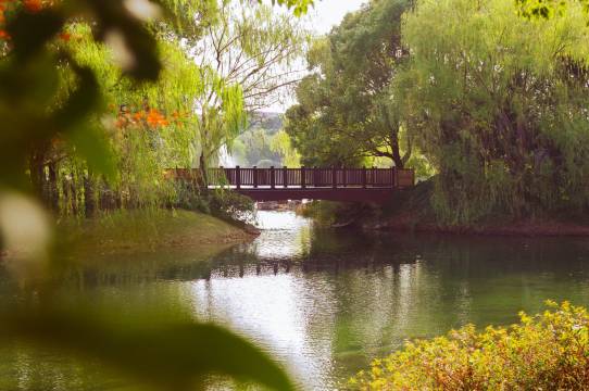 上海东郊宾馆图片