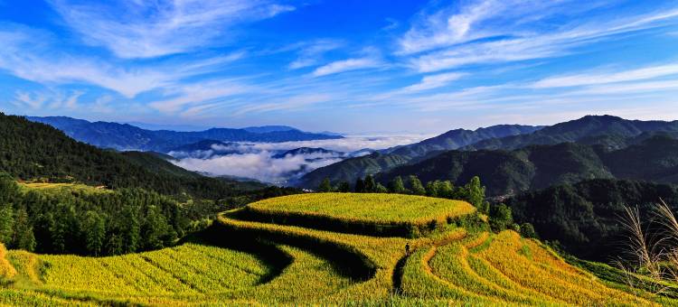 遂川桃源梯田洞穴酒店图片
