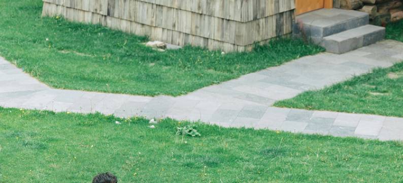 雪山野境｜十里雪山野奢庄园(香格里拉纳帕海店)图片