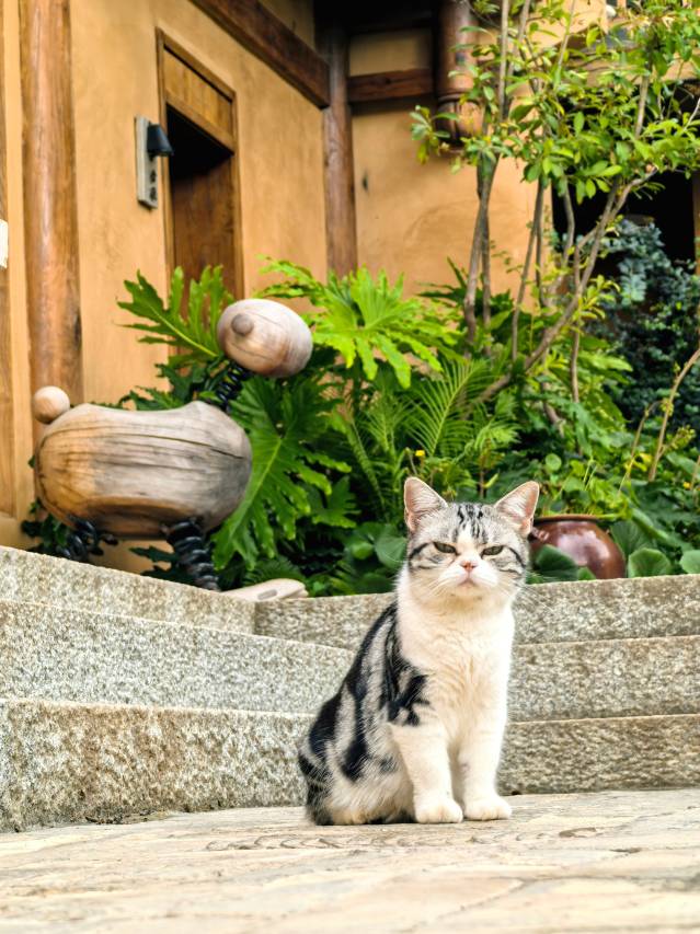 沙溪合院·村居度假民宿图片