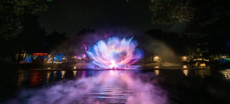乌镇盛庭行馆图片