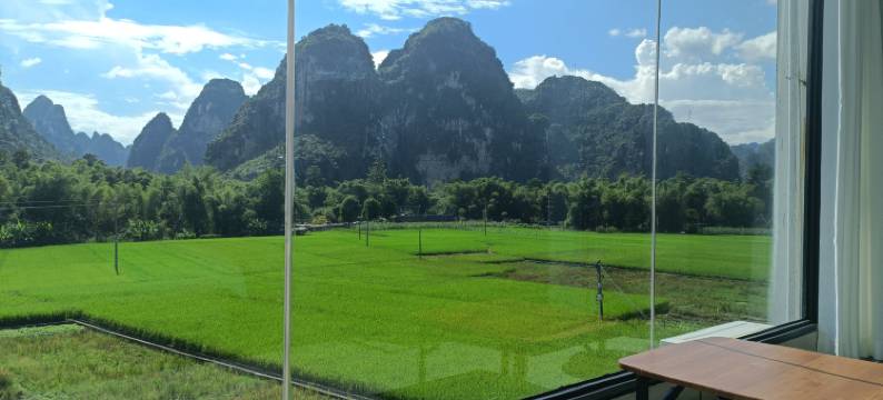 大新常青树屋民宿图片