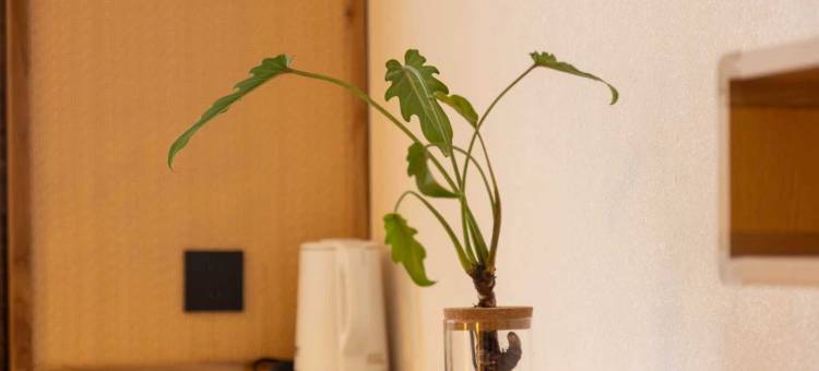 禹州宾馆(禹州胖东来店)图片