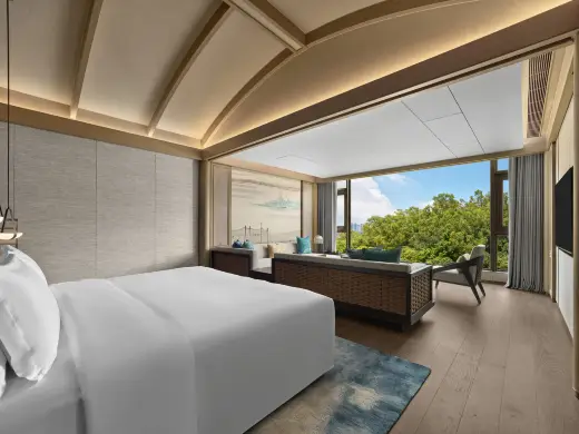 山景湯泉大床房