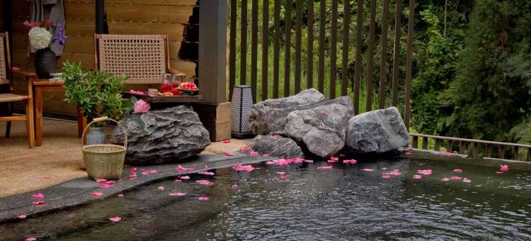 雅安十里芳菲·野玫瑰温泉村落图片