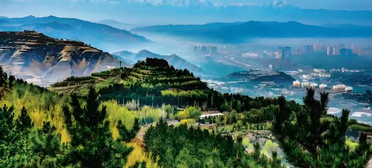 临夏金泰国际饭店图片