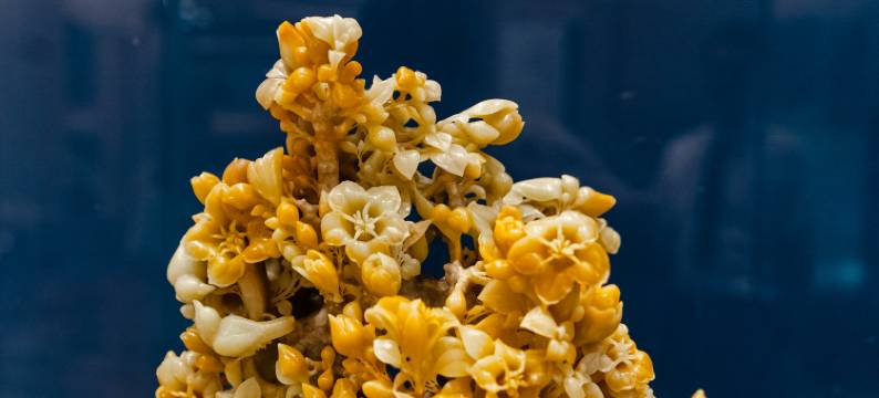 浙江润泽大酒店图片