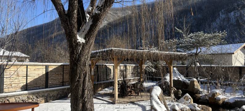 望春山庭院度假民宿​(桓仁望天洞国家地质公园店)图片