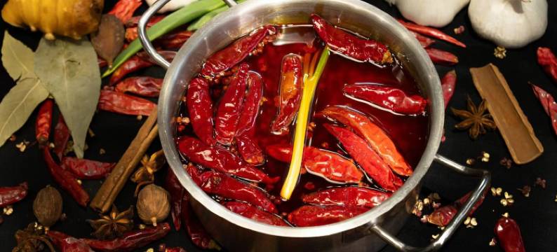 乌镇水巷驿图片