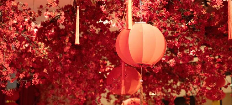 宁波南苑环球酒店图片