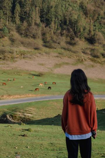 重庆千里走单骑·巴渝民宿(仙女山景区店)图片