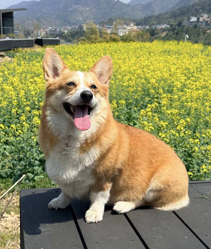 携程度假农庄(福建永泰赤锡店)图片