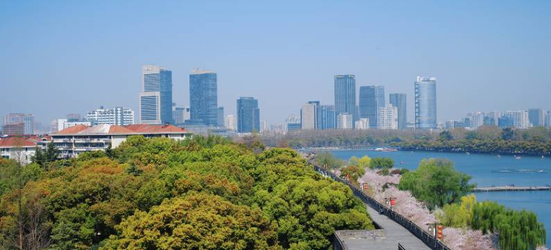 南京金茂威斯汀大酒店图片