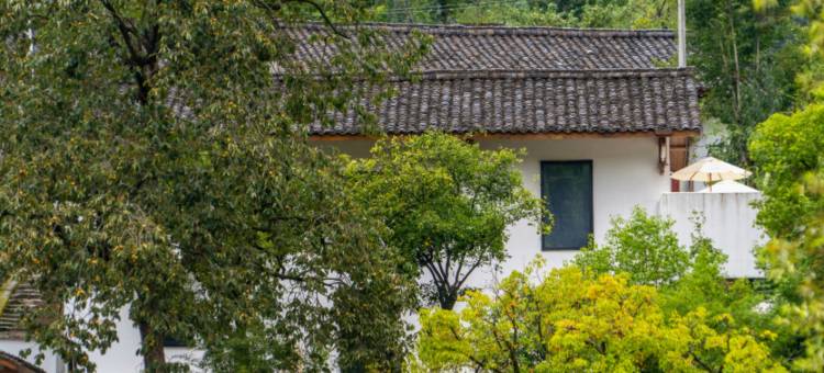 鹿柴山集渔湾逸谷度假民宿(宁陕店)图片