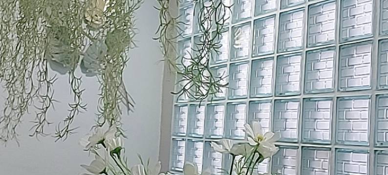 灰姑娘住宅(Cinderella Residence)图片