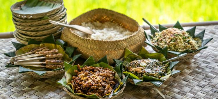 巴厘岛考拉营地(Kaura Bali)图片