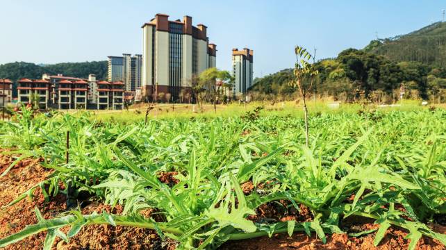 南昆山慕思嘉华温泉酒店图片