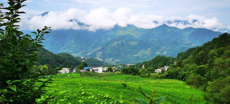 岚皋南山别院图片