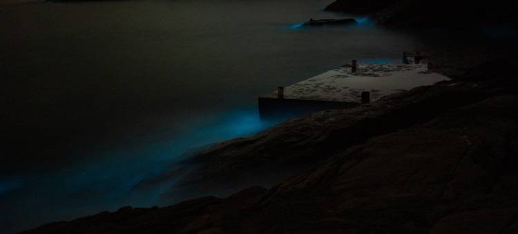 Losum爱夏·后会有期海景民宿(东极庙子湖店)图片