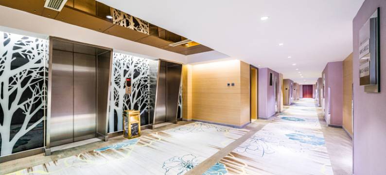 成都梨园祥丽雅阁酒店(文殊坊店)图片