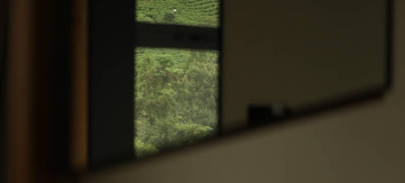 境野·La Vie温汤美宿(安吉妖怪山妖怪咖啡店)图片