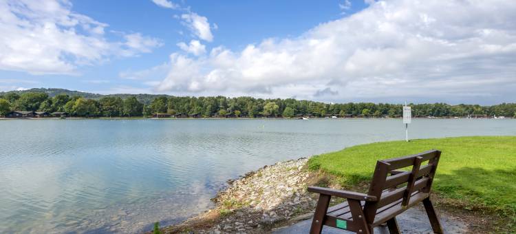 松湖度假酒店(Pine Lake Resort)图片