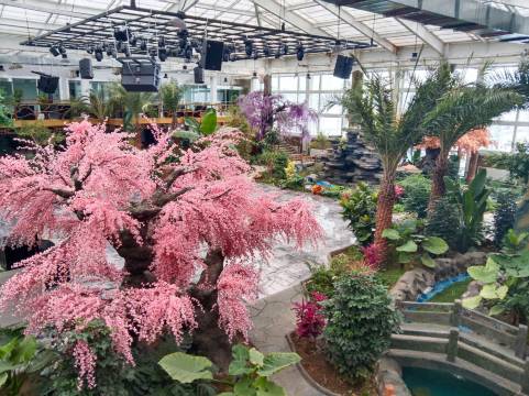 澜溪别苑民宿(青格里狼山国际滑雪场店)图片