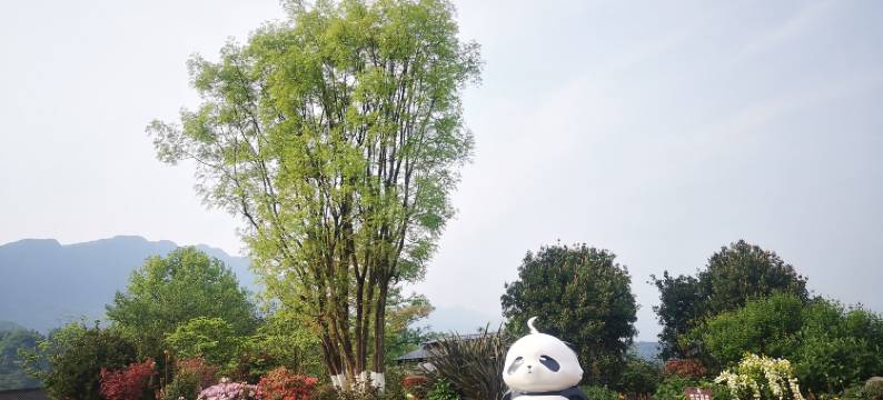 雅安逸仙居客栈图片