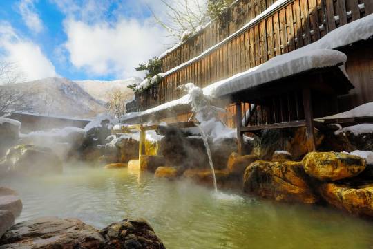 別館深山櫻庵 平湯館 (Hirayukan)