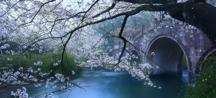 锦江之星酒店(杭州西湖风景区浙大玉泉校区店)图片