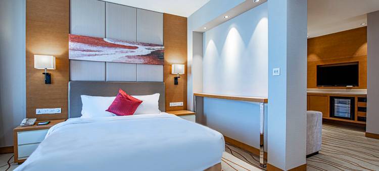 盘锦水游城假日酒店图片