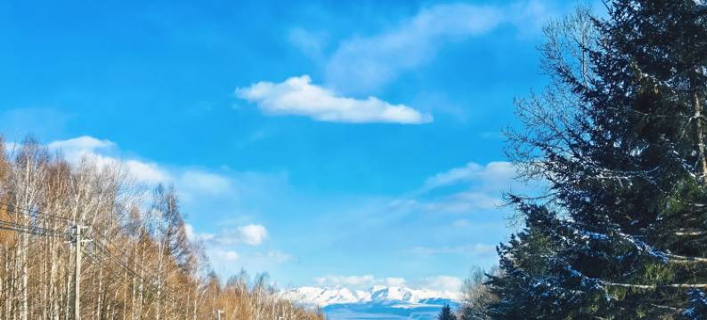 清竹客栈(万达长白山国际度假区店)图片