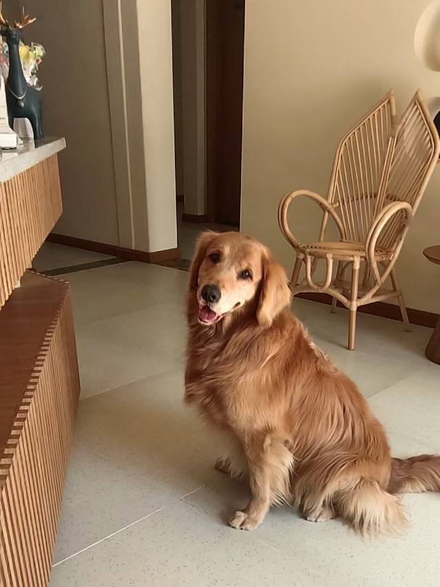 花筑·南山竹海米糖野奢民宿酒店图片