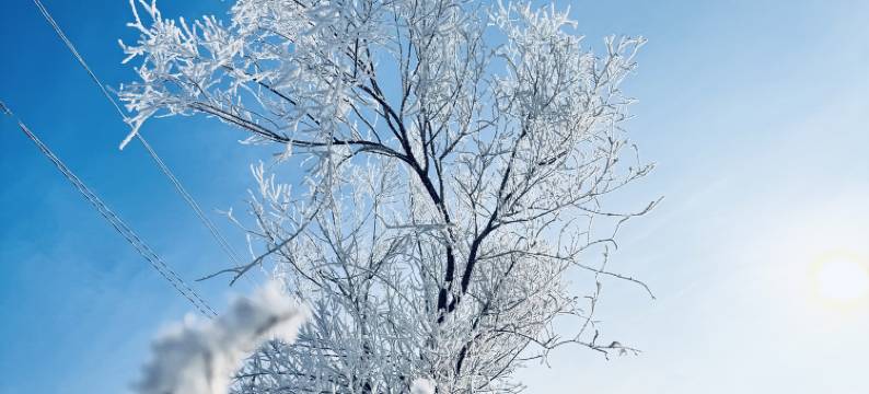 丽洁客栈(雾凇岛景区店)图片