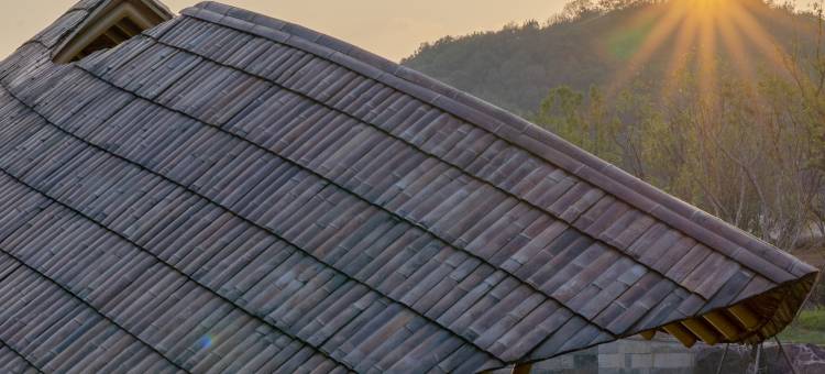 嘉兴开元森泊度假酒店图片