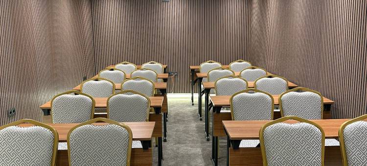 欧佩拉机场酒店，温德姆Trademark系列(Operla Airport Hotels, Trademark Collection by Wyndham)图片