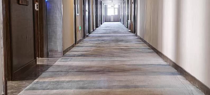 青岛多瑙河国际大酒店图片