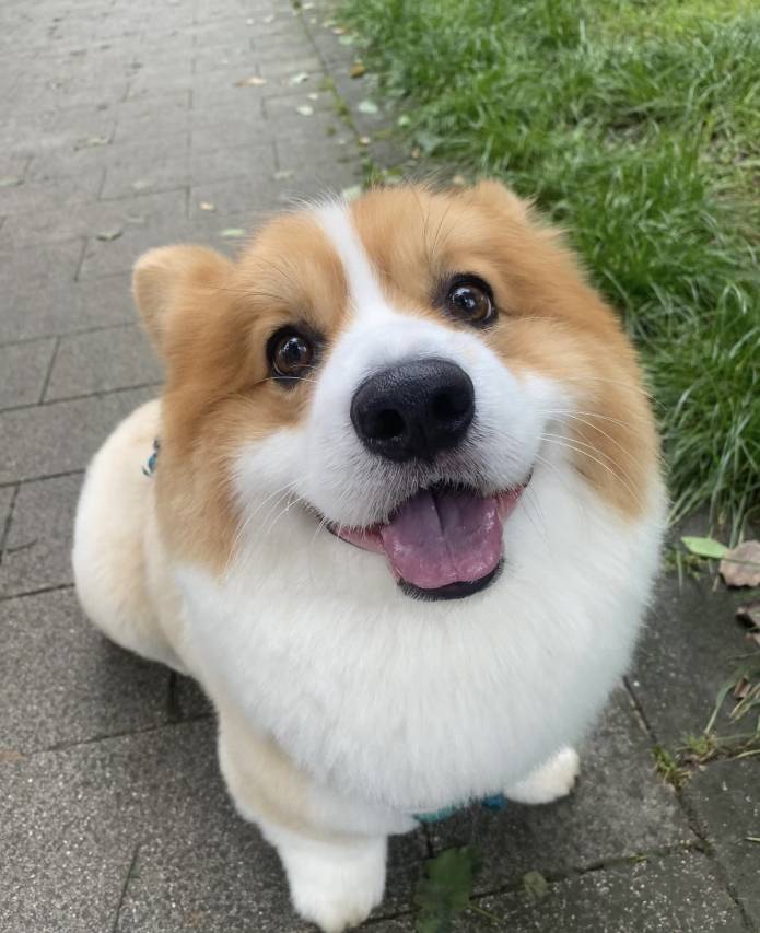 连鳌|Demi-Luxe溪畔丨水街风情智享私汤酒店(东坡水街店)图片