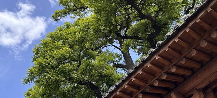 太原古县城昌唐明民宿图片