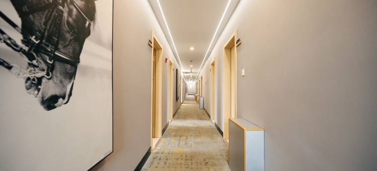 骏怡连锁酒店(合作温州商业街世纪华联店)图片