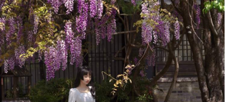 丽江中香界·问云山庄图片